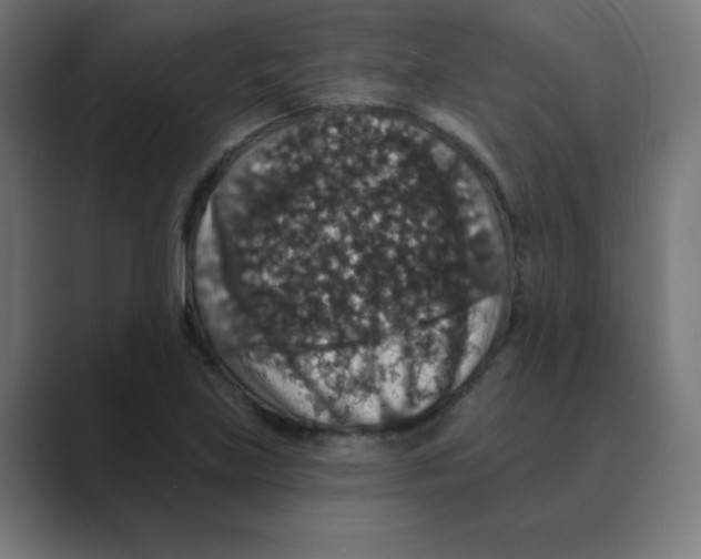 X0000088431219200706191228