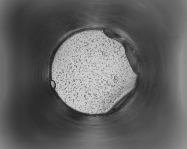 X0000088431220200706191228