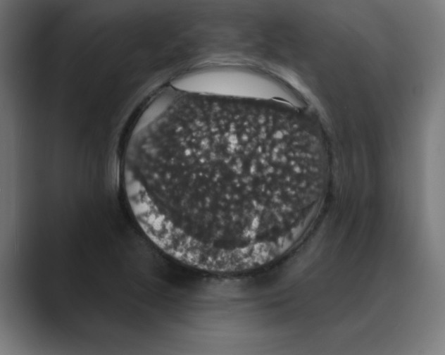 X0000088431221200706191228