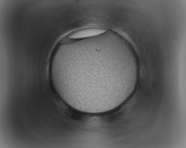 X0000088431222200706191228