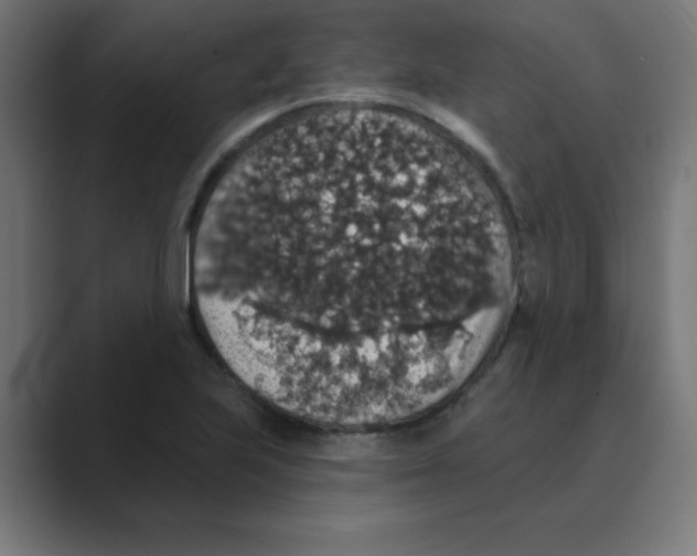 X0000088431223200706191228