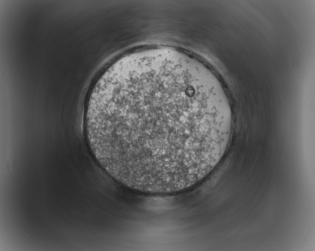 X0000088431224200706191228