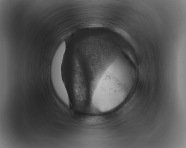 X0000088431225200706191228
