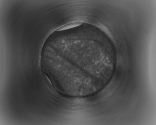 X0000088431226200706191228