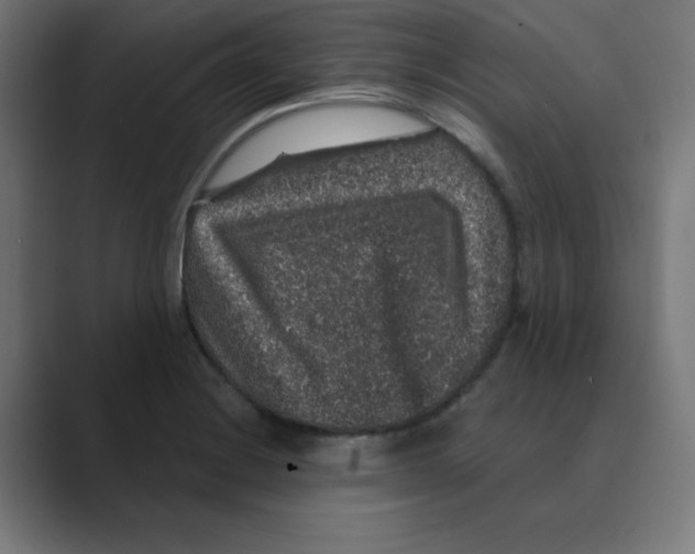 X0000088431228200706191228