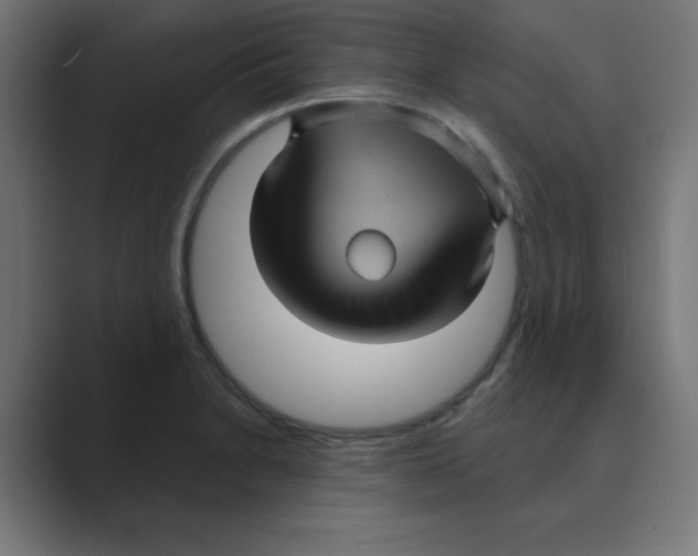 X0000088431230200706191228
