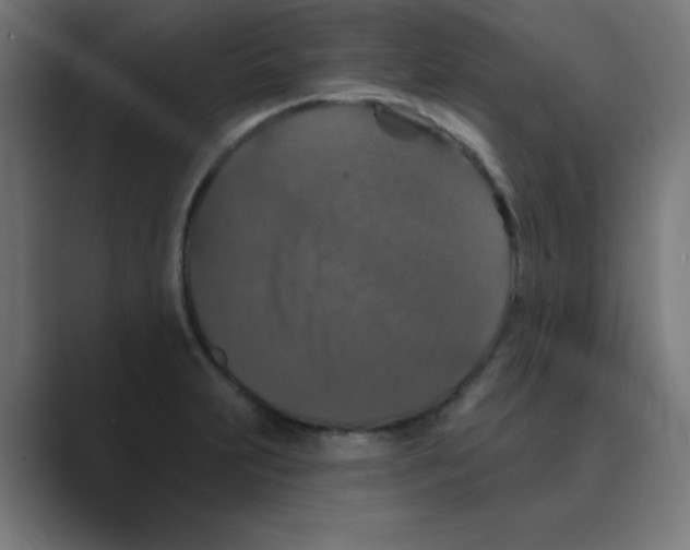 X0000088431231200706191228