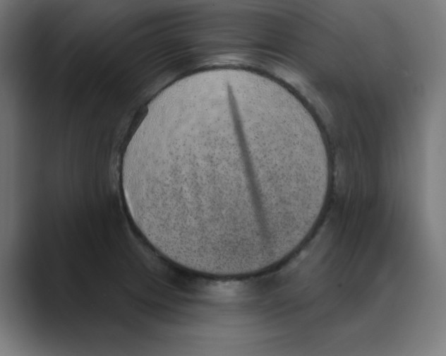 X0000088431233200706191228