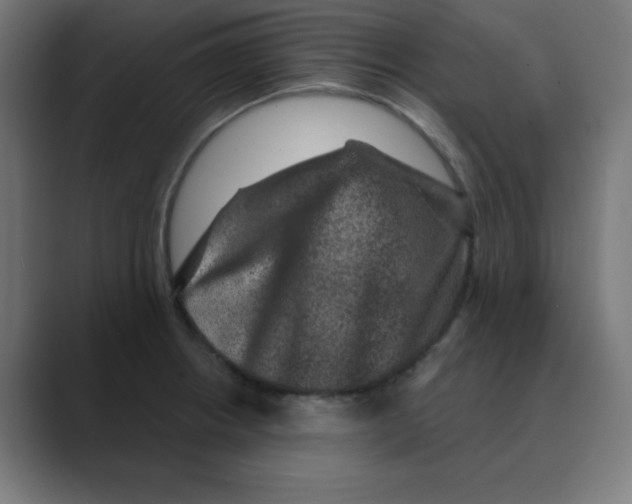 X0000088431234200706191228