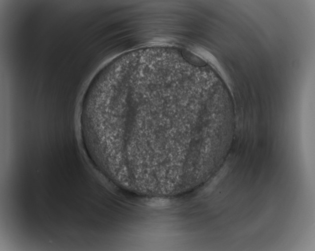 X0000088431235200706191228