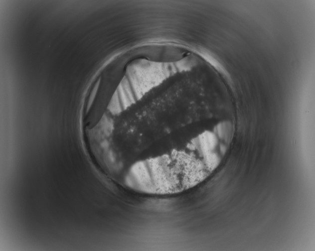 X0000088431237200706191228