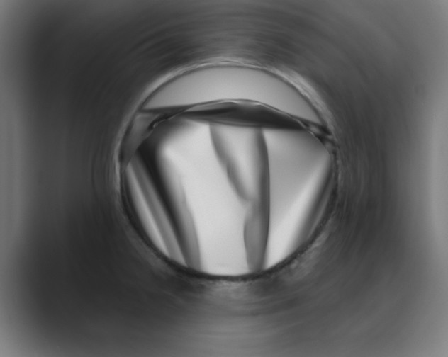 X0000088431238200706191228