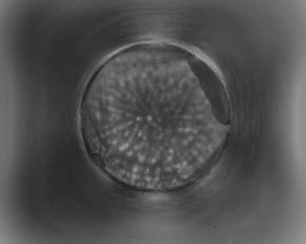 X0000088431239200706191228