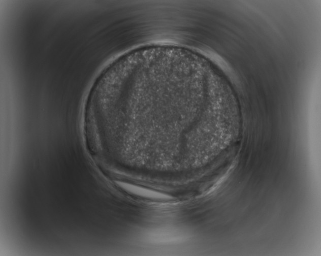 X0000088431240200706191228