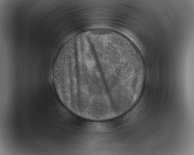 X0000088431241200706191228
