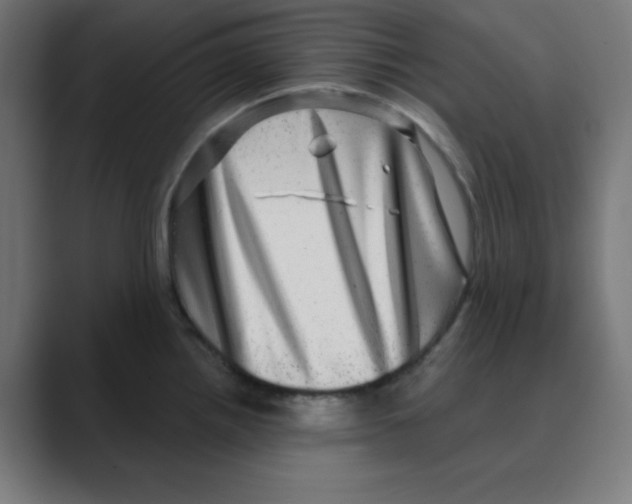 X0000088431242200706191228