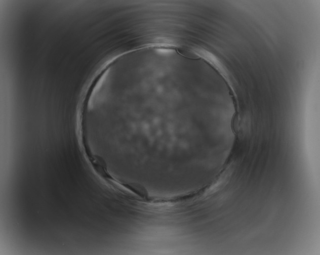 X0000088431243200706191228