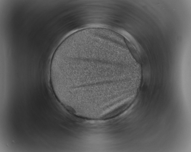 X0000088431244200706191228