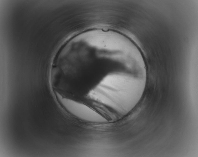 X0000088431245200706191228