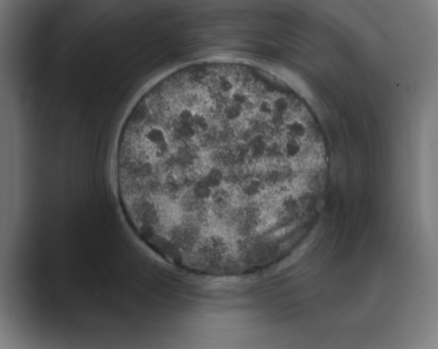 X0000088431247200706191228