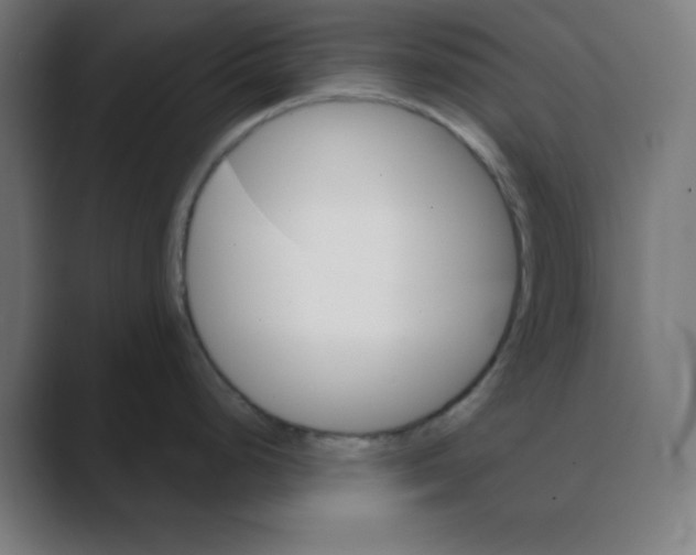 X0000088431248200706191228