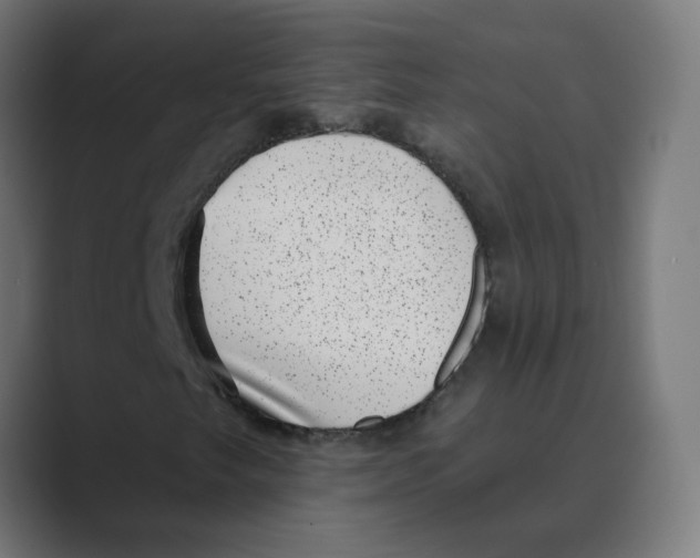 X0000088431249200706191228