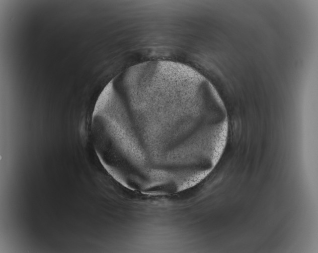 X0000088431250200706191228