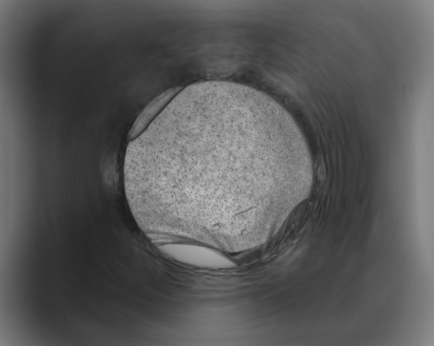 X0000088431252200706191228