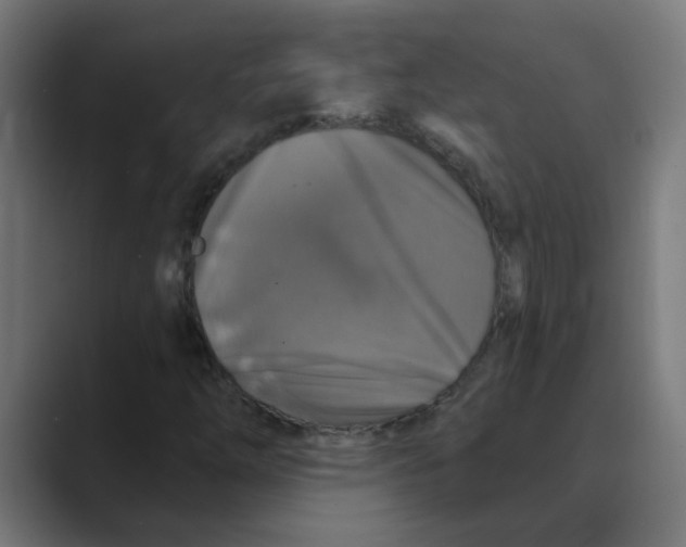 X0000088431254200706191228