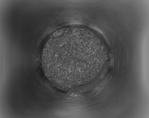 X0000088431255200706191228