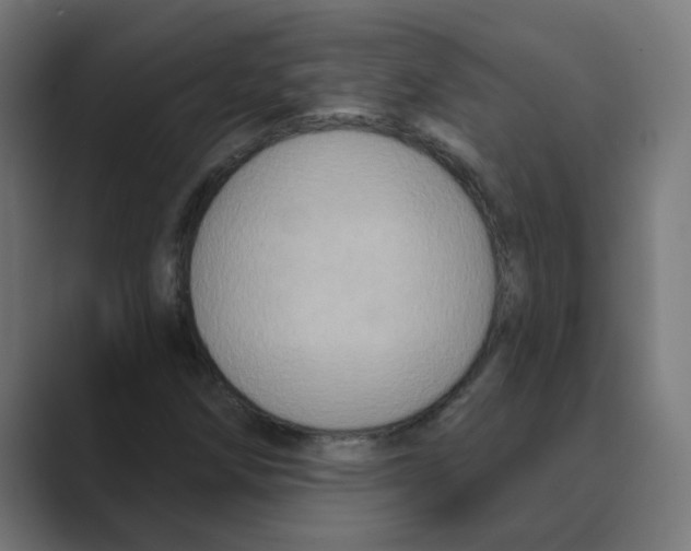 X0000088431258200706191228