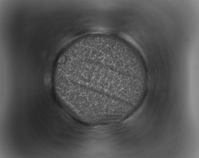 X0000088431259200706191228