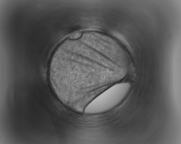X0000088431260200706191228