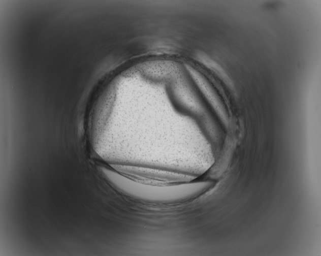 X0000088431261200706191228