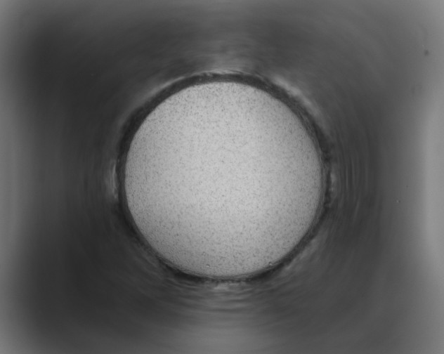 X0000088431262200706191228