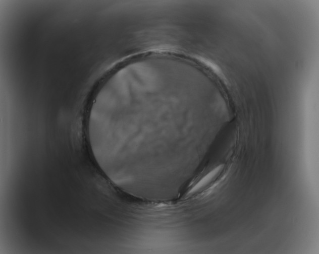 X0000088431263200706191227