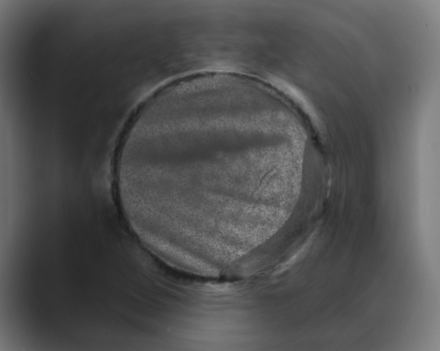 X0000088431264200706191227