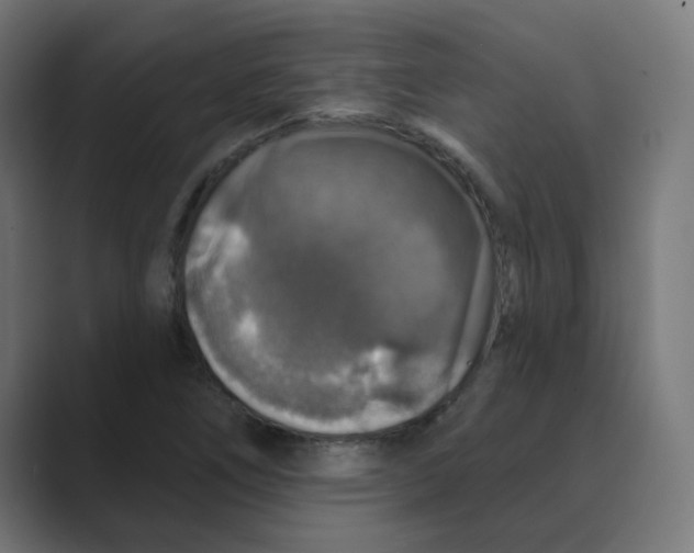 X0000088431266200706191227