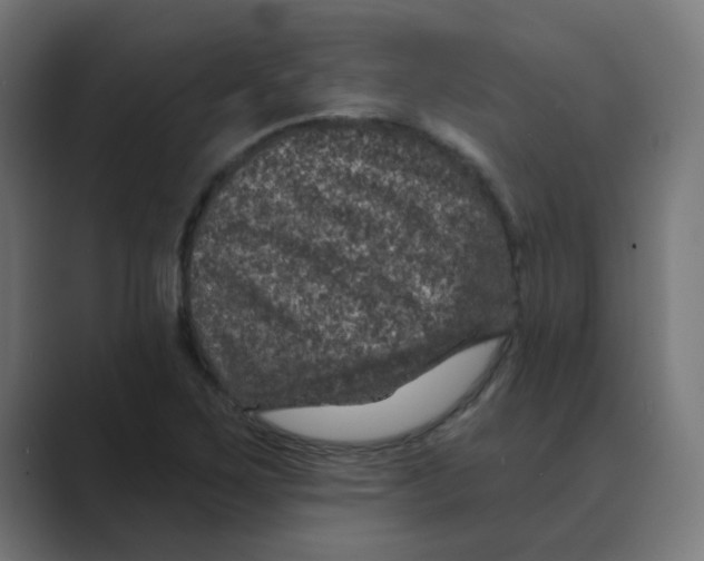X0000088431267200706191227