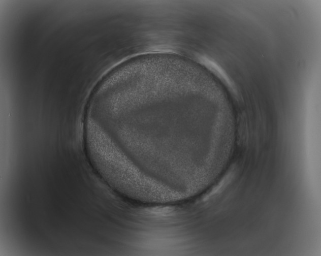 X0000088431268200706191227