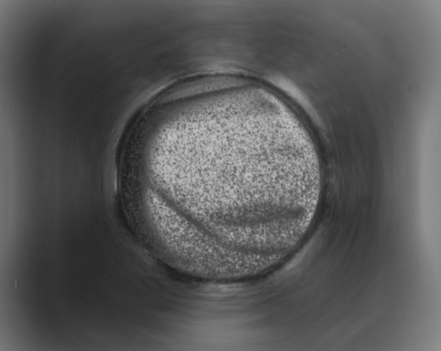 X0000088431269200706191227