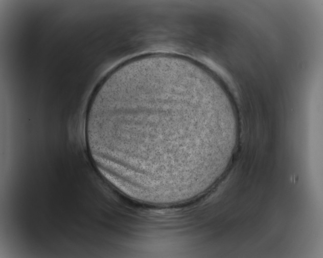 X0000088431272200706191227