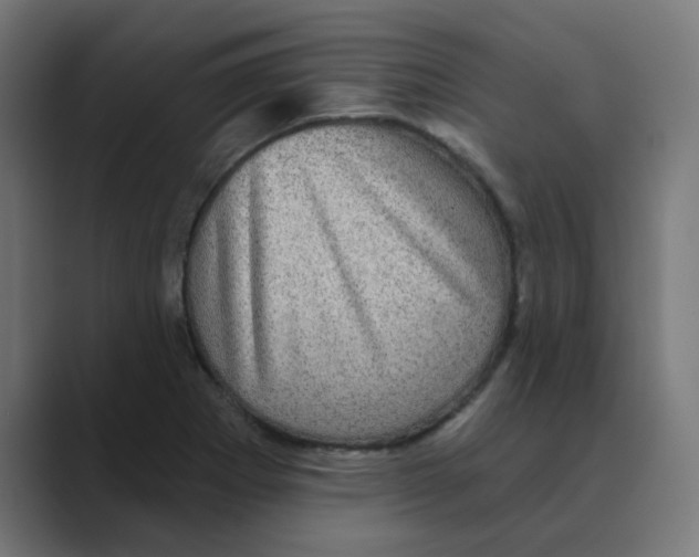 X0000088431273200706191227