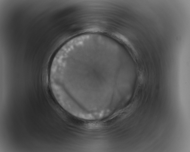 X0000088431274200706191227
