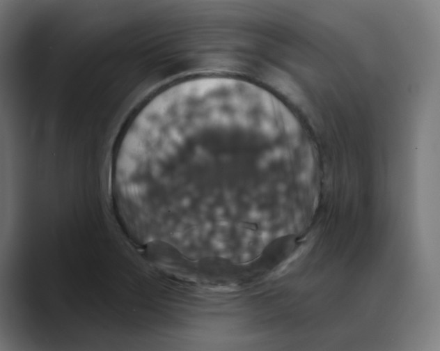 X0000088431275200706191227