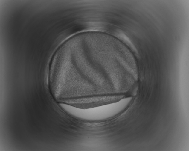 X0000088431276200706191227