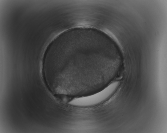 X0000088431277200706191227