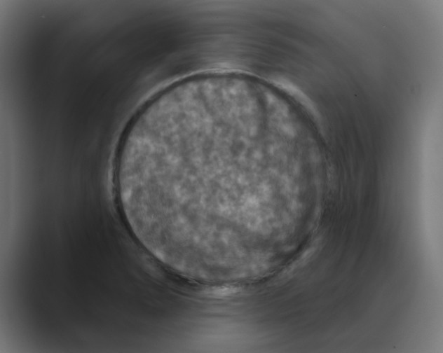 X0000088431278200706191227