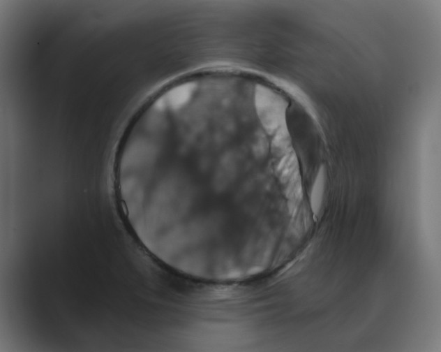 X0000088431279200706191227