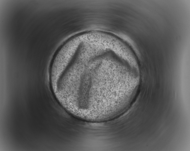 X0000088431280200706191227